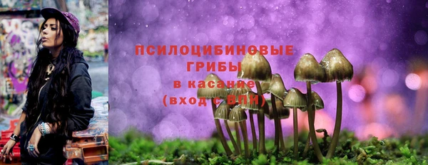 Альфа ПВП Горнозаводск