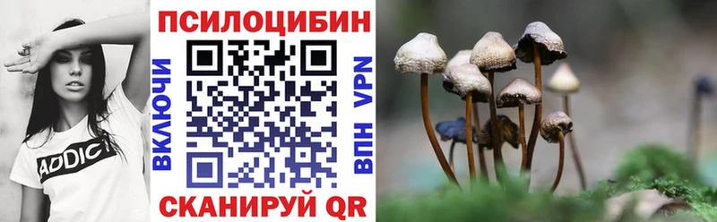 kraken как зайти  наркошоп  Приволжский  Псилоцибиновые грибы мухоморы 